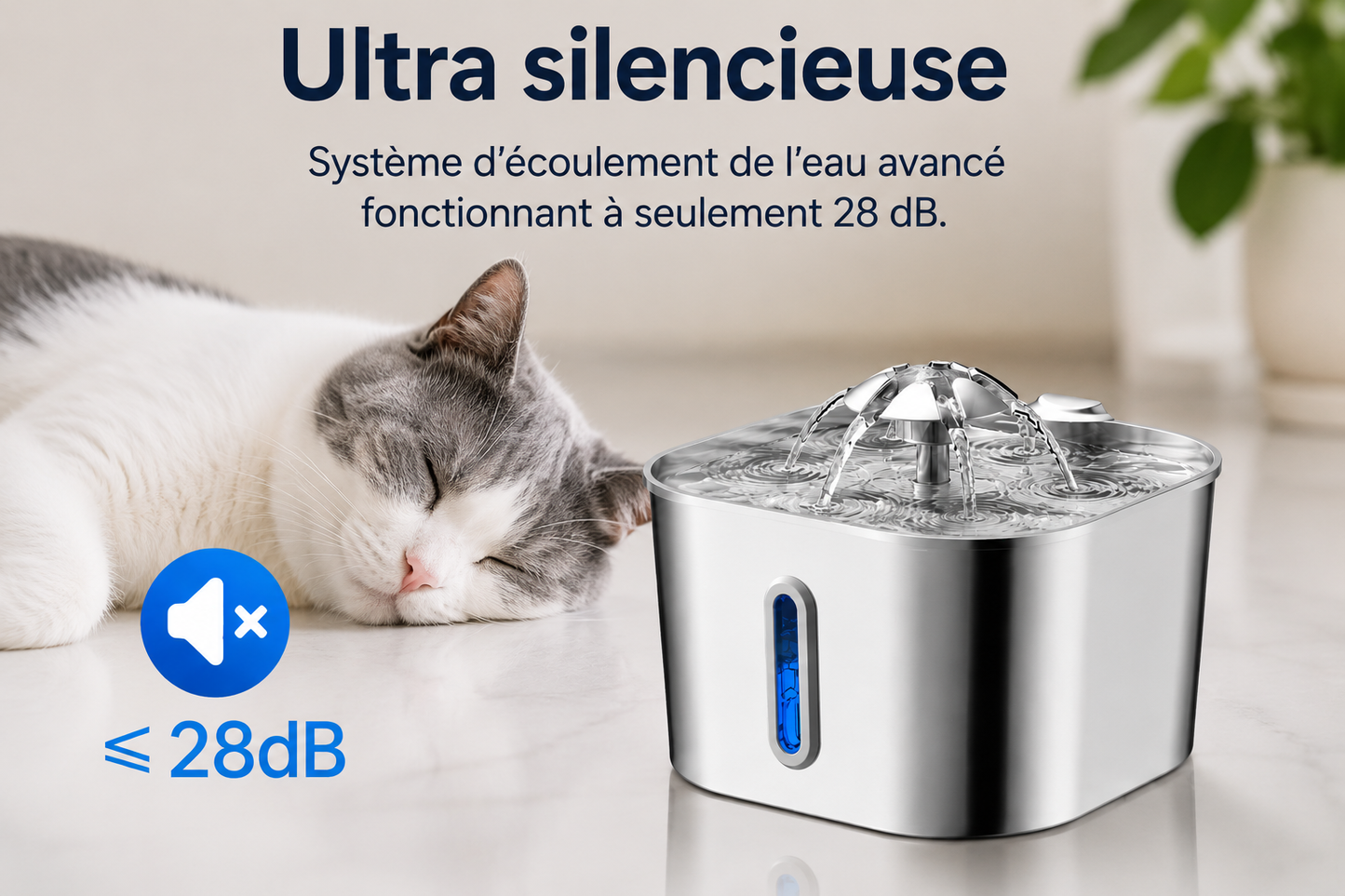 VeloraFlow™ Premium | Fontaine à eau inox 2,2L