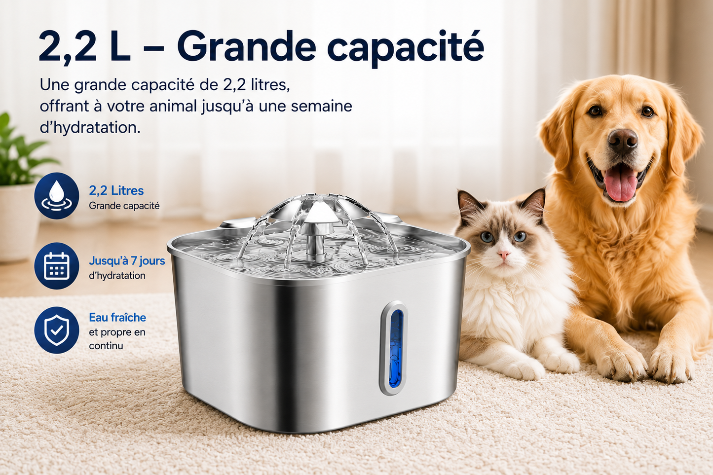 VeloraFlow™ Premium | Fontaine à eau inox 2,2L