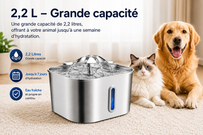 VeloraFlow™ Premium | Fontaine à eau inox 2,2L